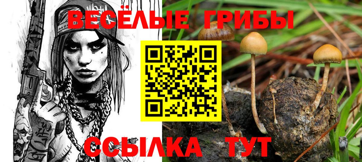 Псилоцибиновые грибы Psilocybe  Вход с VPN  Пыть-Ях 