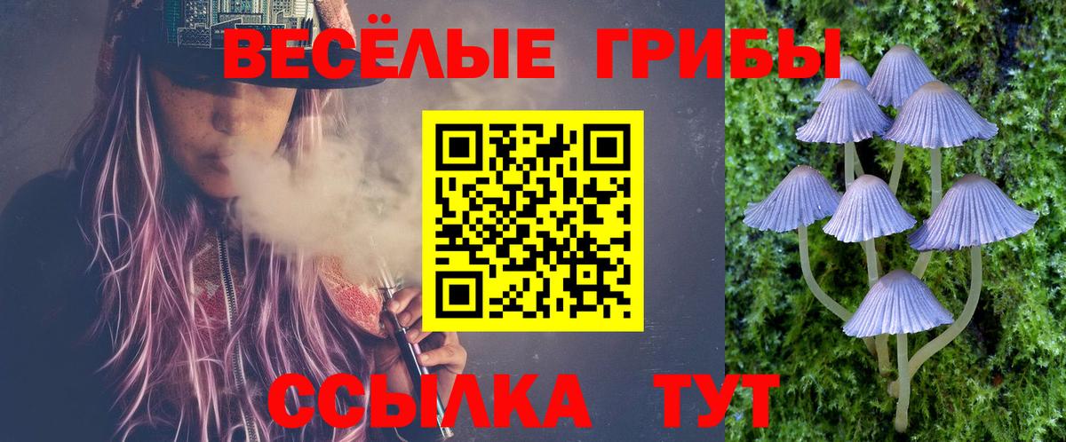 Псилоцибиновые грибы Psilocybine cubensis Пыть-Ях